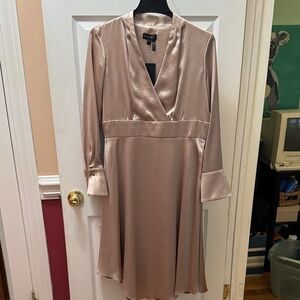 Donna Karan Satin Long Sleeve Dress in Light Pink